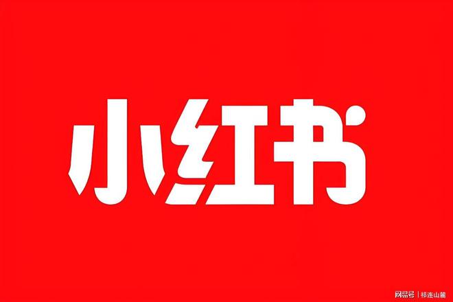 书的商业模式与竞争优势PP模拟器试玩入口小红